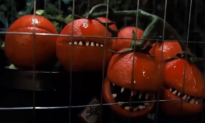 No momento, você está visualizando “Attack of the Killer Tomatoes” ganha sequência quase 50 anos depois: a lição sobre o valor comercial duradouro do “tão ruim que é bom”